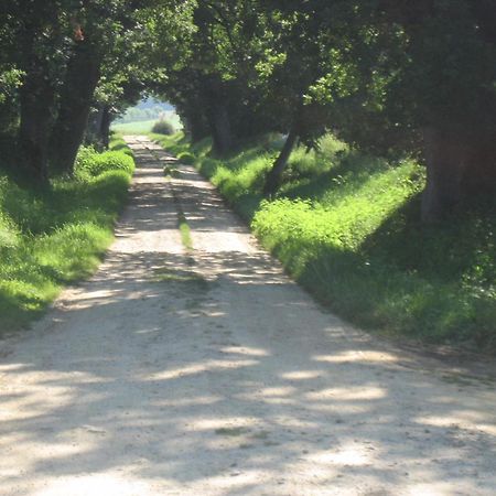 Bed and Breakfast Domaine A Marmande Berdoues Zewnętrze zdjęcie